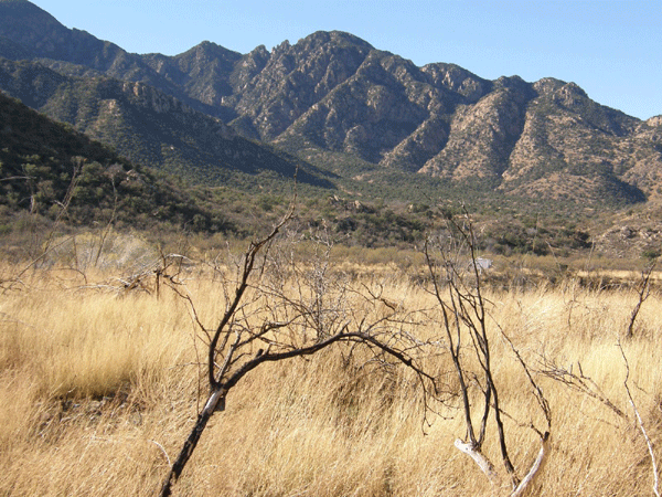 Madera Canyon Road Bike Ride Tucson Arizona 5805