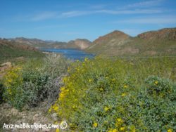 Tortilla Flats Road Bike Ride – Mesa, Arizona