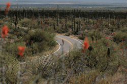 Gates Pass ~ McCain Loop Road Bike Ride – Tucson, Arizona