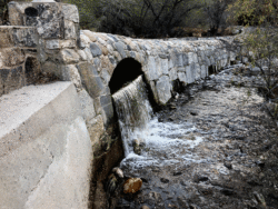 Sabino Canyon Biking – Tucson, AZ