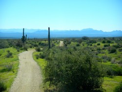 Pemberton Trail McDowell Mountain Park Mountain Bike Ride